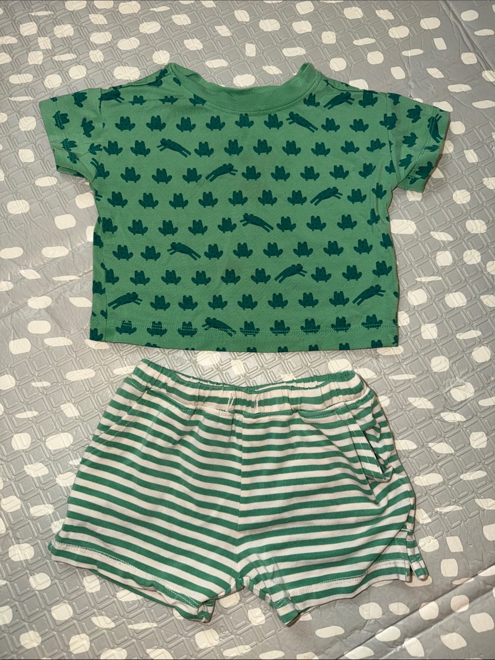 Hanna Andersson Green Frog & Stripe Shorts Set